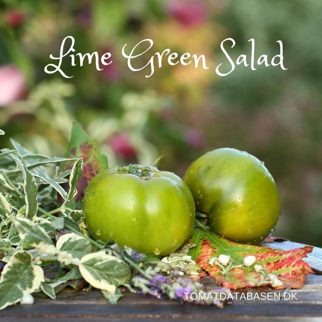 Lime Green Salad